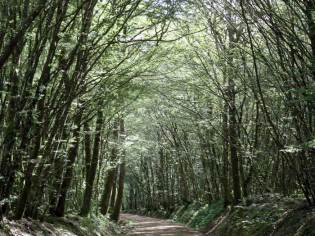 Chemin de randonnée autour du lac du Rousset