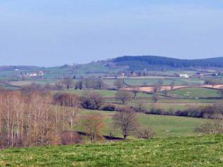 Paysage de campagne