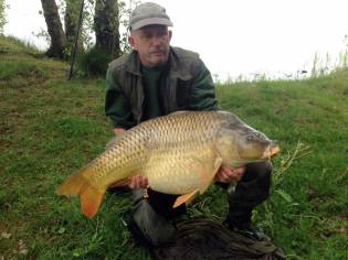 Carpe commune de 22 kg