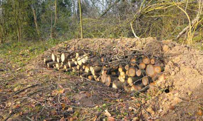 Exemple d'hibernaculum